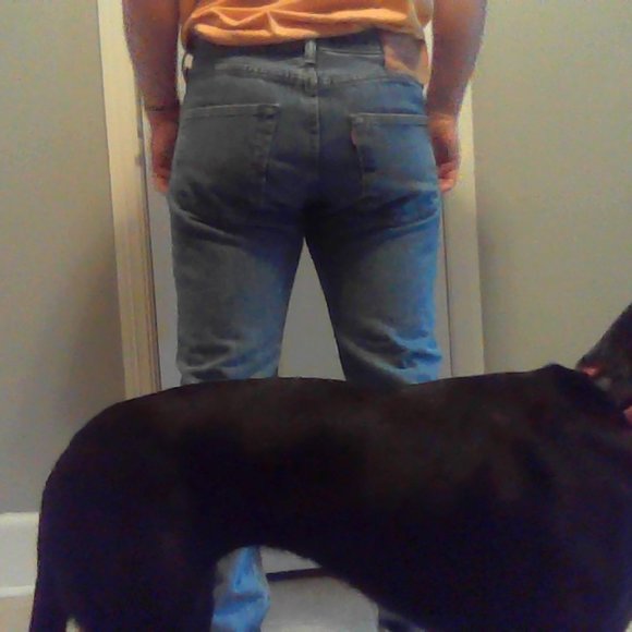 Levis 501 32/32 blue jeans - Picture 13 of 14